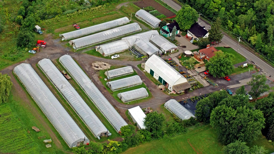 SERRES HORTICOLES À PIERREFONDS  Situées entre le Parc-nature du Cap-St-Jacques et le Parc-nature du bois de l'Anse-à-l'Orme, sur une des rares terres encore cultivées de l'île de Montréal. Ces serres ont produit de magnifiques fleurs, soulignant la vie, l'amour, la mort des montréalais depuis plusieurs générations.           